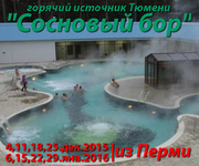 Горячие природные ванны (тур в г.Тюмень из Перми)